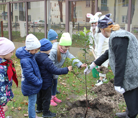 Наталия Пилюс передала саженцы яблок в новый детский сад в Щекино
