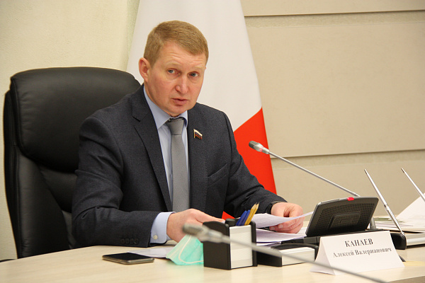 Алексей Канаев обсудил с экспертами законопроект о поправках в Лесной кодекс