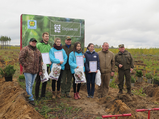 Николай Малов: Жители Чувашии активно участвуют во всероссийской осенней акции «Сохраним лес»