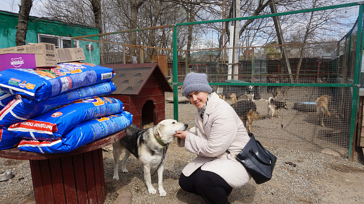 Ольга Тимофеева направила в ставропольские приюты для животных около 200 кг сухих кормов