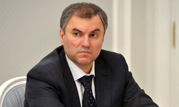 Вячеслав Володин поручил разработать законопроекты для исключения повторения ситуации с ВИМ-Авиа