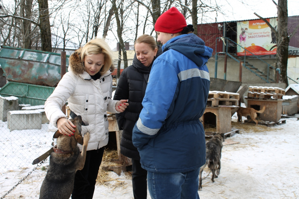 Ольга Тимофеева посетила ставропольский приют для бездомных животных