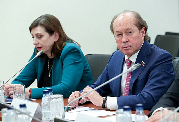 Комитет по науке и высшему образованию обсудил доклад, посвященный заключению СП РФ на отчет об исполнении федерального бюджета за 2022 год