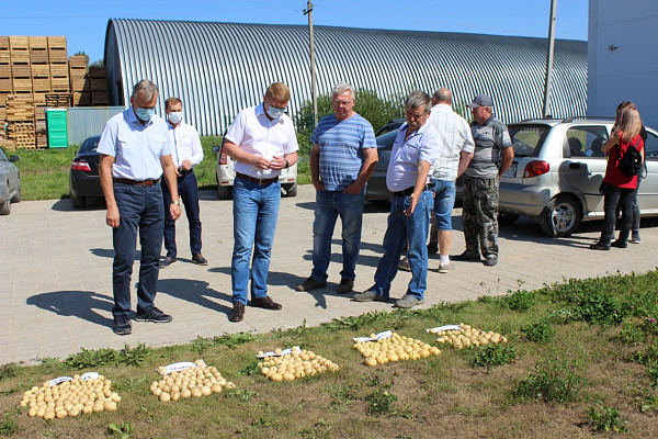 Алексей Канаев: Усилия устюженских фермеров по выращиванию семенного картофеля заслуживают поддержки на федеральном уровне