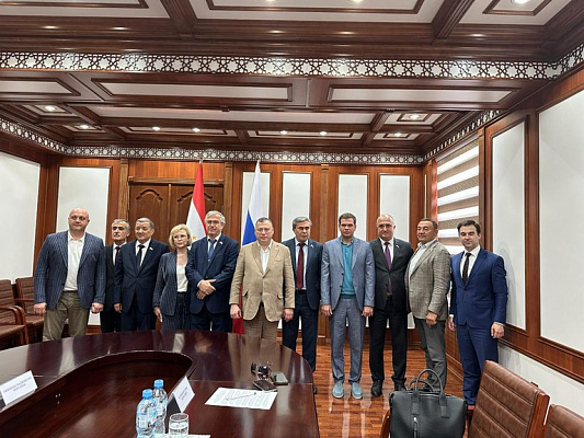Депутаты Госдумы обсудили с парламентариями Таджикистана направления совместной работы 