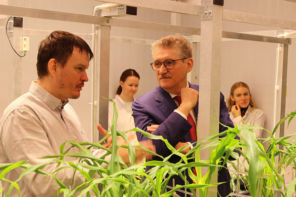 Во фракции «Единая Россия» подготовили семь законопроектов, посвященных развитию семеноводства в стране