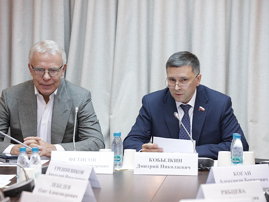 Комитет ГД по экологии, природным ресурсам и защите окружающей среды обсудил вопрос ликвидации последствий разлива нефтепродуктов из-за крушения танкеров в Черном море