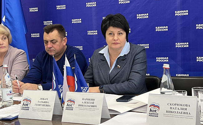 «Единая Россия» просит Правительство при реализации программы КРСТ учитывать особенности Севастополя