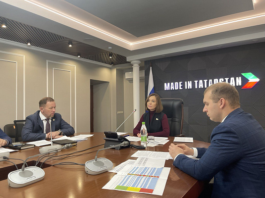 Альфия Когогина провела совещание по вопросам реализации в Татарстане программы социальной газификации