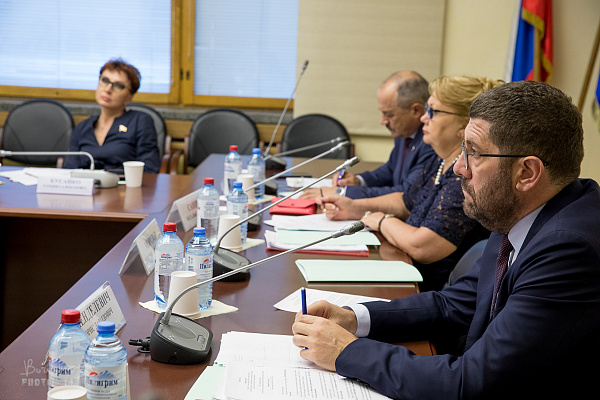 На заседании рабочей группы комитета Госдумы по охране здоровья обсудили  ход реализации федерального проекта по первичной медико-санитарной помощи