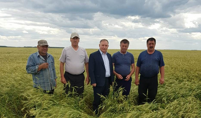 Василий Шишкоедов: Важно обеспечить условия для быстрой сборки урожая, чтобы собирать выращенный хлеб без потерь
