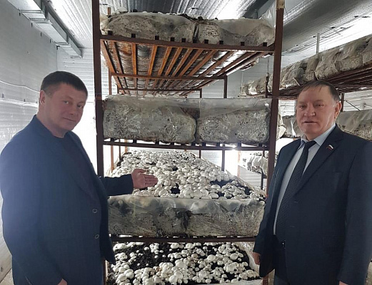 Василий Шишкоедов посетил в Макушинском районе предприятие по выращиванию шампиньонов